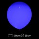 Ballons Lumineux Led 25 cm